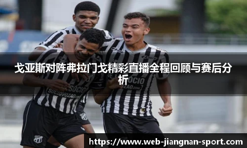 戈亚斯对阵弗拉门戈精彩直播全程回顾与赛后分析